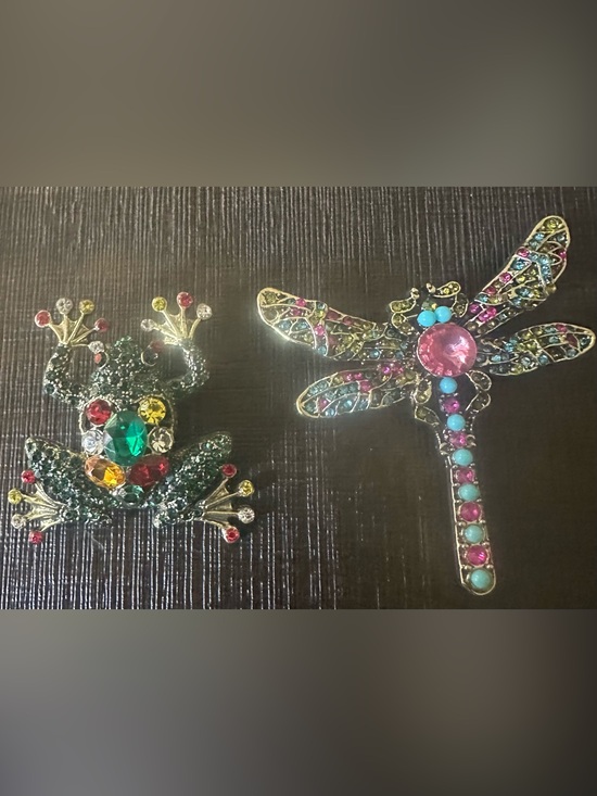 Jewelry - Multicolor Gemstone Dragonfly and Frog Brooch Set